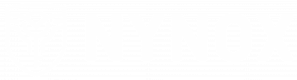 Nynox_logo_White_long